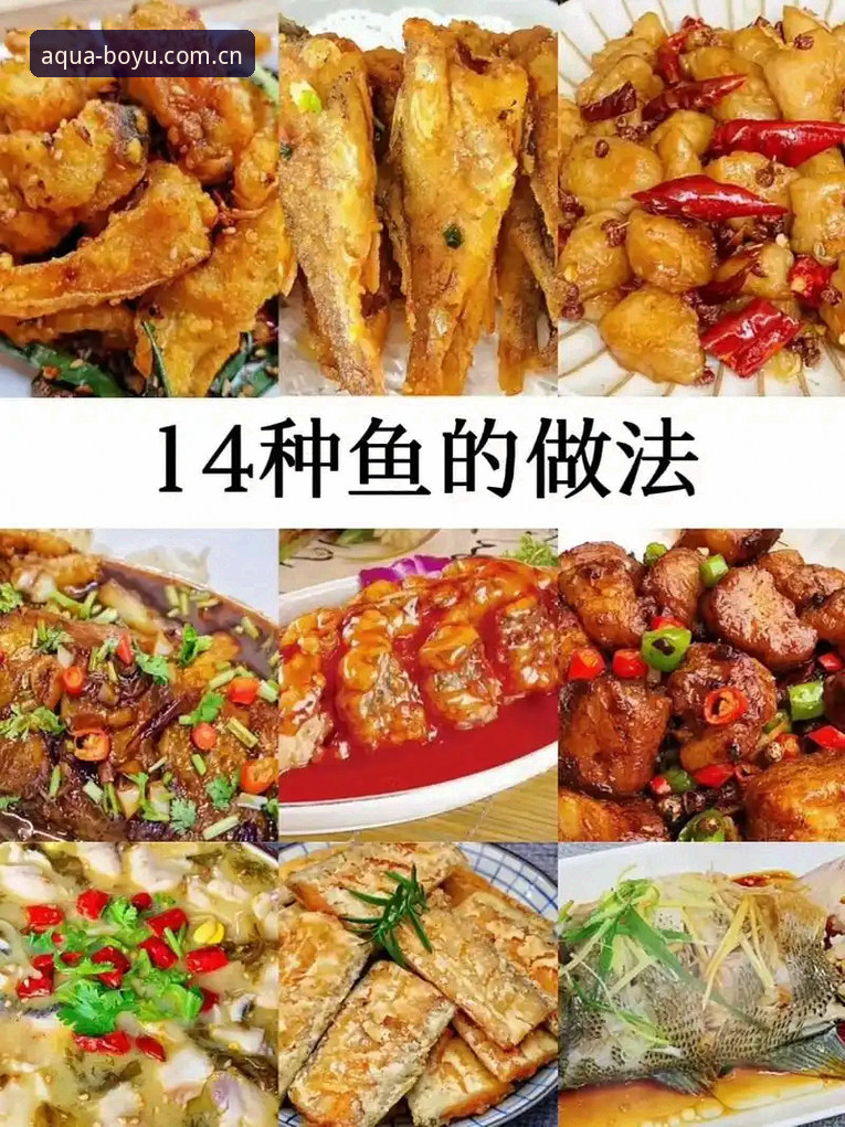 揭秘博鱼体育平台：2025年用户都在问的"博鱼靠谱吗"真相